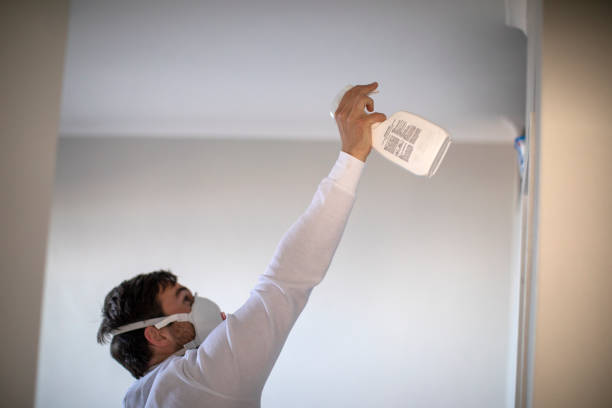Best Black Mold Remediation in Fox Crossing, WI