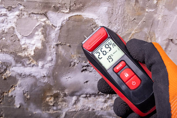 Best Industrial Mold Remediation in Fox Crossing, WI