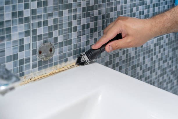 Best Kitchen Mold Remediation in Fox Crossing, WI